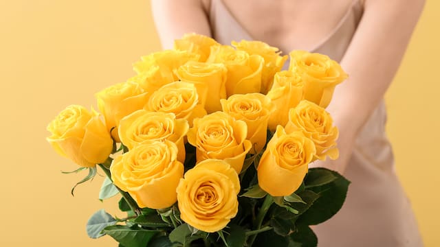 Qué significa que te regalen flores amarillas: lo que revela este inocente presente