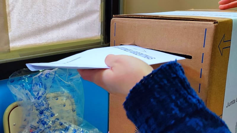 El INE habilitó servicios online para consultar la mesa y el local electoral asignados a cada votante.