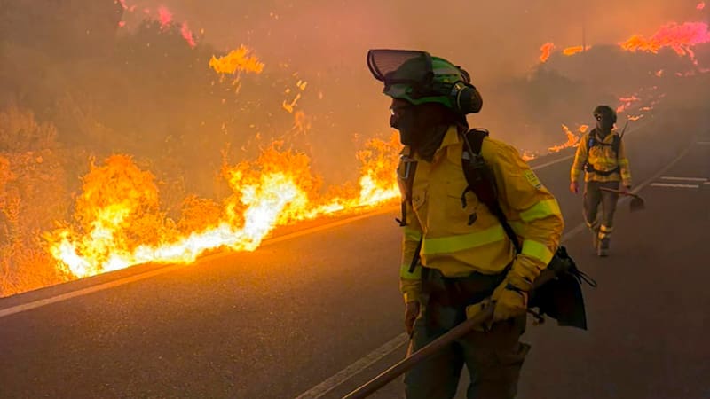 Los esfuerzos de los bomberos para detener el incendio en Almería.