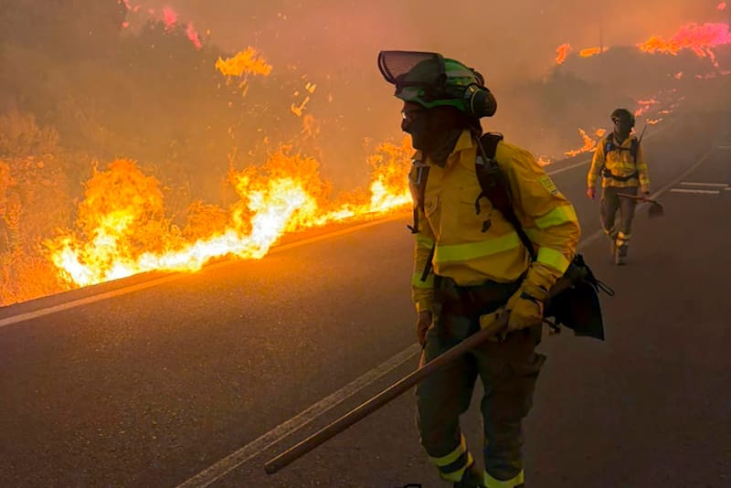 Los esfuerzos de los bomberos para detener el incendio en Almería.