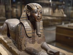 Después de 3300 años, revelan la posible causa de muerte de Tutankamón gracias al ADN