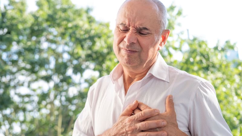 ¿Los huevos suben el colesterol? Qué dice la ciencia sobre consumir este alimento
Fuente: Shutterstock