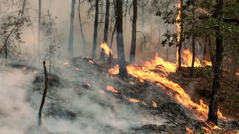 Los incendios avanzan sin control en Madrid y Ávila: España pidió ayuda a la Unión Europea