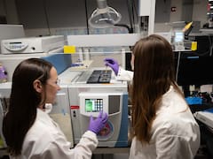 La innovación sanitaria como motor productivo