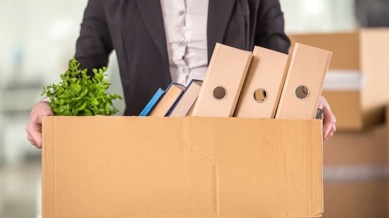 Los motivos detrás del despido a la directora.