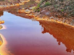 Sin precedentes | Los ríos de Estados Unidos se tornan de color naranja y la salud de todos está en peligro: esto dicen los científicos