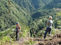 In 2002, a couple began planting 50,000 trees to restore a forest. 24 years later, wildlife has returned