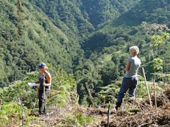 En 2002 una pareja de turistas comenzaron a plantar 50.000 árboles para reforestar un bosque. 24 años más tarde han regresado los animales