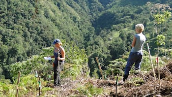 En 2002 una pareja de turistas comenzaron a plantar 50.000 árboles para reforestar un bosque. 24 años más tarde han regresado los animales