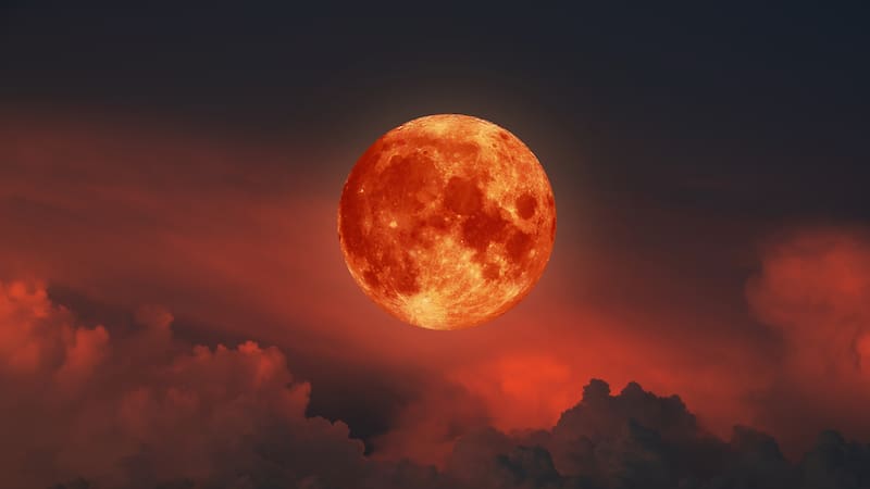 Una luna de sangre cubrirá el cielo de Argentina: por qué se da el fenómeno y cómo verla. Fuente: Shutterstock