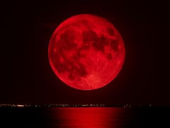 Llega la imponente “Luna de Sangre” en 2026: cuándo ocurrirá y desde dónde se podrá observar