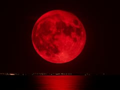 Llega la “luna de sangre” en 2026: cuándo y dónde se podrá observar este fenómeno astronómico único