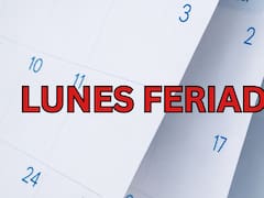Oficial: declaran feriado el próximo lunes 10 de agosto y habrá doble fin de semana largo para estas personas