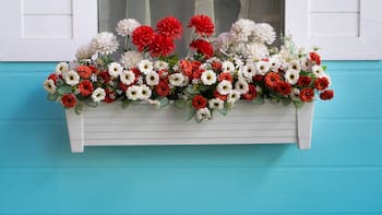 Ley de Propiedad Horizontal: ahora no podrás colgar macetas del balcón de tu casa