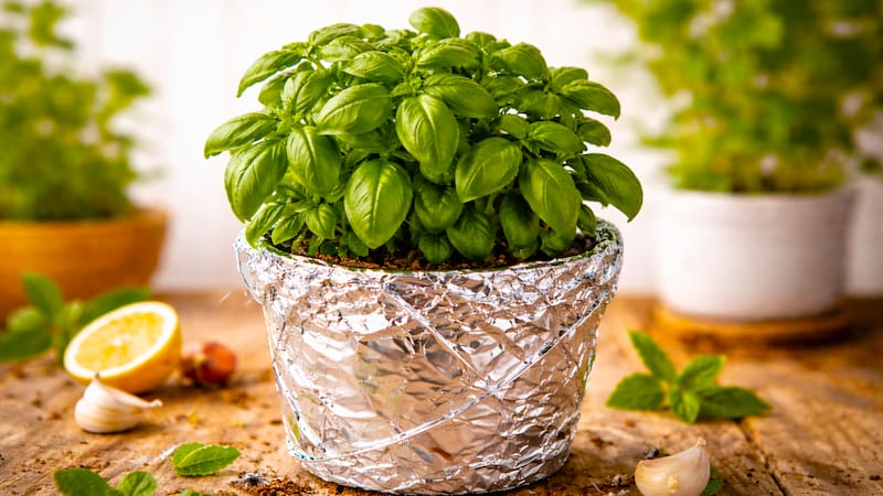 Fuente: imagen ilustrativa Chat GPT.