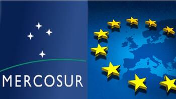Radiografía del fondo especial de la UE: ¿Cómo se reparte y qué proyectos tienen prioridad?