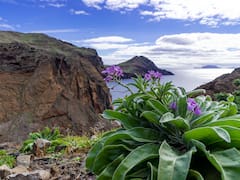 Le dicen “el Hawái de Europa”: este destino combina paisajes de aguas cristalinas y selva