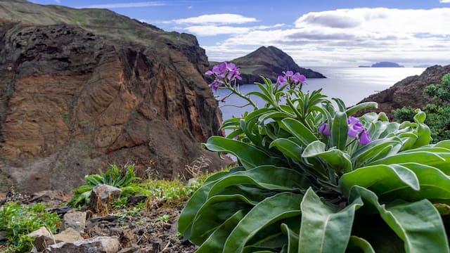 Le dicen “el Hawái de Europa”: este destino combina paisajes de aguas cristalinas y selva