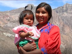 Cuánto dinero entrega el programa Madres Trabajadoras y qué requisitos pide para acceder al depósito bimestral