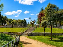 Madrid le dedicará un parque entero a un histórico actor argentino: tres hectáreas de árboles, un auditorio y áreas de juegos
