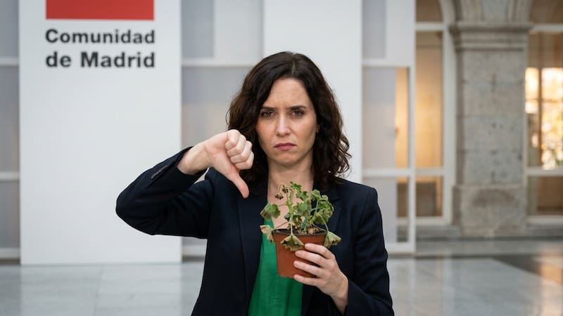 Madrid prohíbe una planta muy común en los jardines.