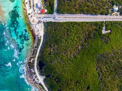 Royal Caribbean pierde 7,100 MDD en bolsa por protestas y revisión del gobierno a su megaparque en Mahahual