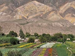 Orgullo nacional: una localidad argentina fue seleccionada como la mejor del mundo en 2025