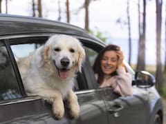 Seis de cada 10 argentinos ya eligen alojamientos “pet friendly” y un 17% vuela con ellas