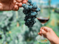 Día del Malbec: entrevista con la cepa ‘diva’ que lidera la viticultura argentina