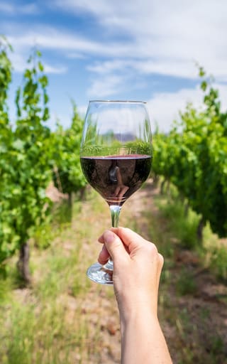 Día del Malbec: entrevista con la cepa ‘diva’ que lidera la viticultura argentina