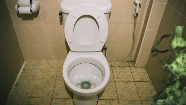 Adiós al mal olor a cañería y cloaca en tu inodoro: la solución ideal para tener un baño impecable