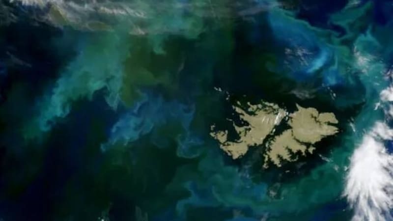 El particular fenómeno mostraba los colores de Argentina alrededor de las Islas Malvinas.