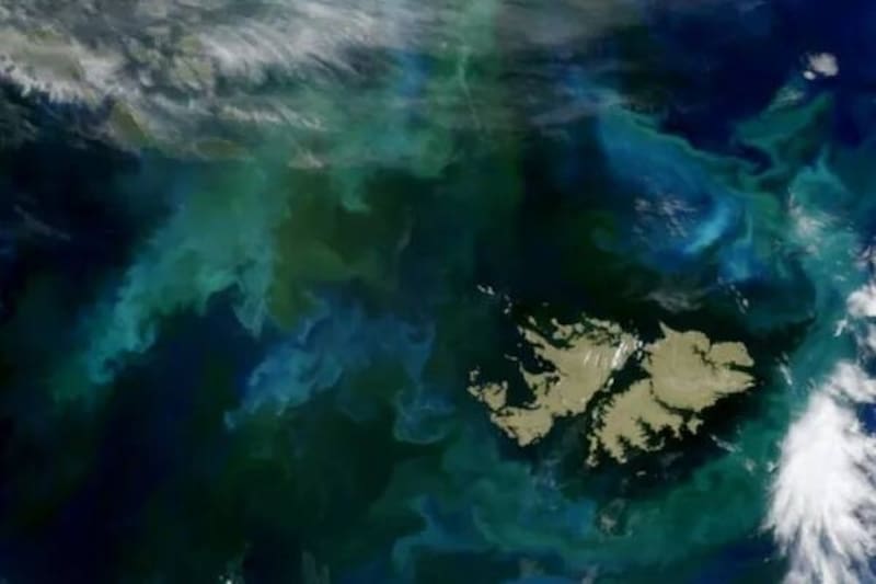 El particular fenómeno mostraba los colores de Argentina alrededor de las Islas Malvinas.