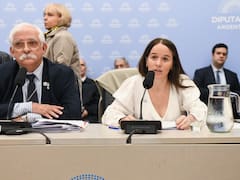 El oficialismo acota las sanciones de la Ley Malvinas tras los reparos de EE.UU.: los cambios que se negocian