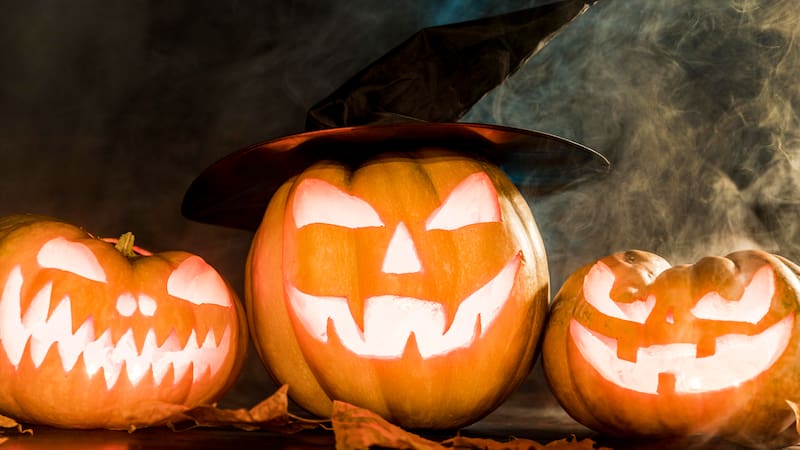 Mamdani announces free Halloween events in New York: dates, locations, and activities in the five boroughs.