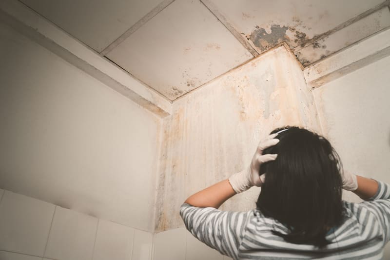 Antes de reparar la pared, es clave reconocer el origen de la humedad.