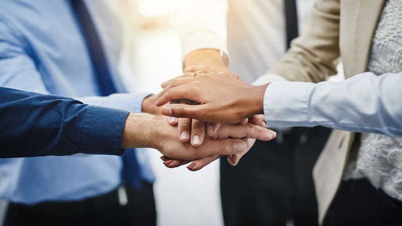 Mandá CV ya: definen cuáles son las mejores empresas para trabajar en Argentina
Fuente: Shutterstock