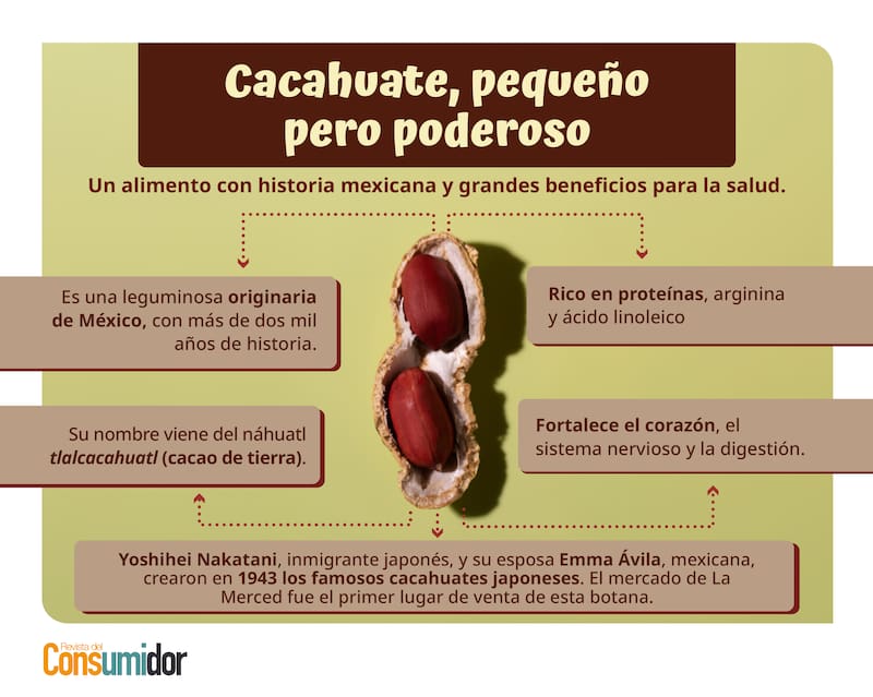 Hoy te mostramos sus beneficios para el corazón y el sistema nervioso, y las recomendaciones de consumo para evitar excesos de sodio.