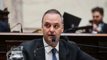 Adorni va al Senado: qué tiene que pasar para que el Congreso lo remueva de su cargo