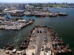 Un déjà vu logístico en el puerto de Mar del Plata