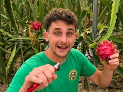 Marc, agricultor de 24 años: “A los 19 me compré dos campos con mis ahorros, sin inversiones de terceros ni herencias”