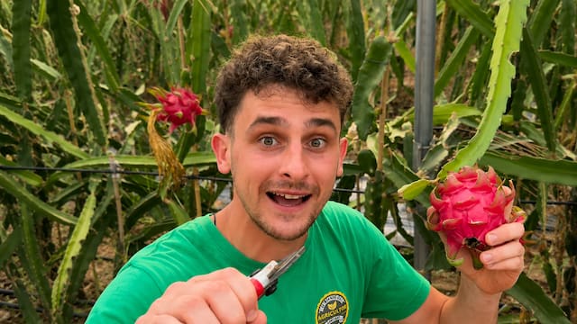 Marc, agricultor de 24 años: “A los 19 me compré dos campos con mis ahorros, sin inversiones de terceros ni herencias”