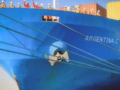 Sturzenegger prepara la apertura de la Marina Mercante: buques extranjeros, contenedores libres y cambios laborales