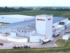 Marolio abrirá un nuevo centro de distribución en General Rodríguez y apunta al mercado externo