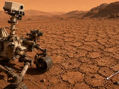 En 2012, un robot de la NASA aterrizó en Marte. 14 años después, encontró miles de figuras de apenas 4 centímetros que lo dejaron “sin aliento”