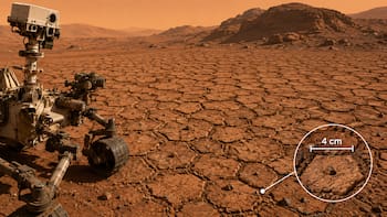 En 2012, un robot de la NASA aterrizó en Marte. 14 años después, encontró miles de figuras de apenas 4 centímetros que lo dejaron “sin aliento”