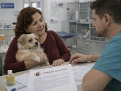 Oficial | Ofrecen cuidado veterinario sin costo: estos son los requisitos para solicitar la ayuda del Gobierno