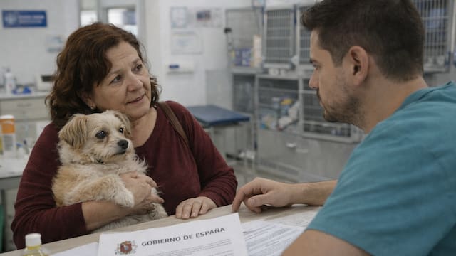 Oficial | Ofrecen cuidado veterinario sin costo: estos son los requisitos para solicitar la ayuda del Gobierno