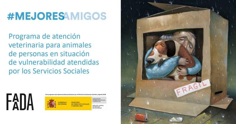 Atención veterinaria GRATUITA: ¿quiénes pueden solicitarla y cuáles son los requisitos? (foto: archivo).