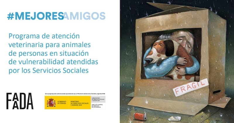 Atención veterinaria GRATUITA: ¿quiénes pueden solicitarla y cuáles son los requisitos? (foto: archivo).